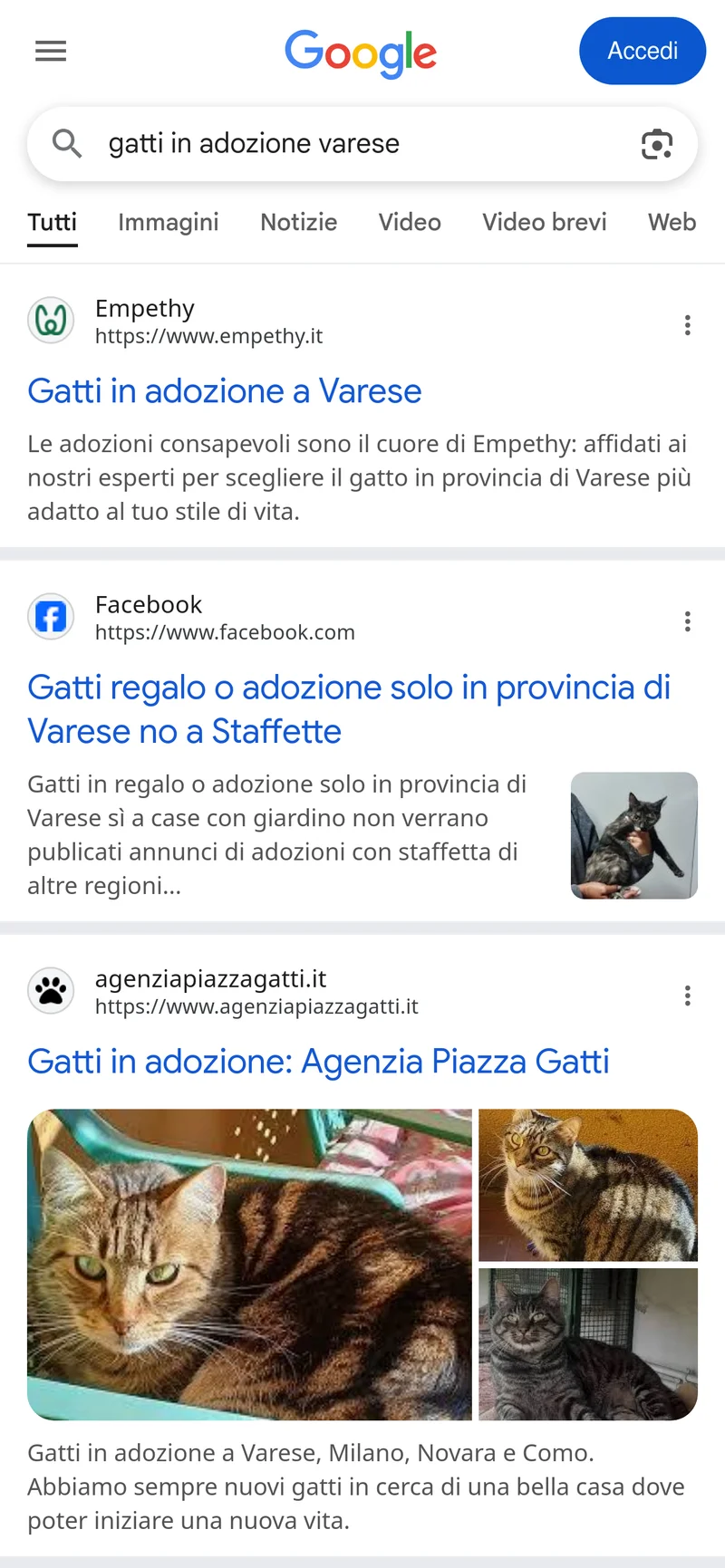Screenshot query gatti in adozione varese