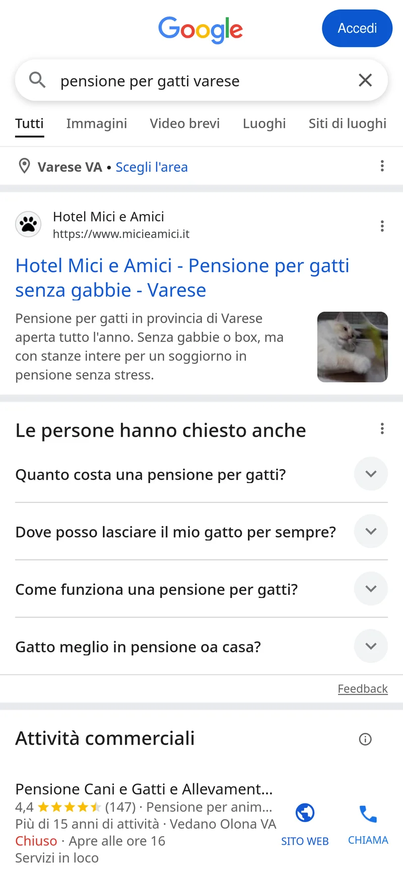 Screenshot query pensione per gatti varese